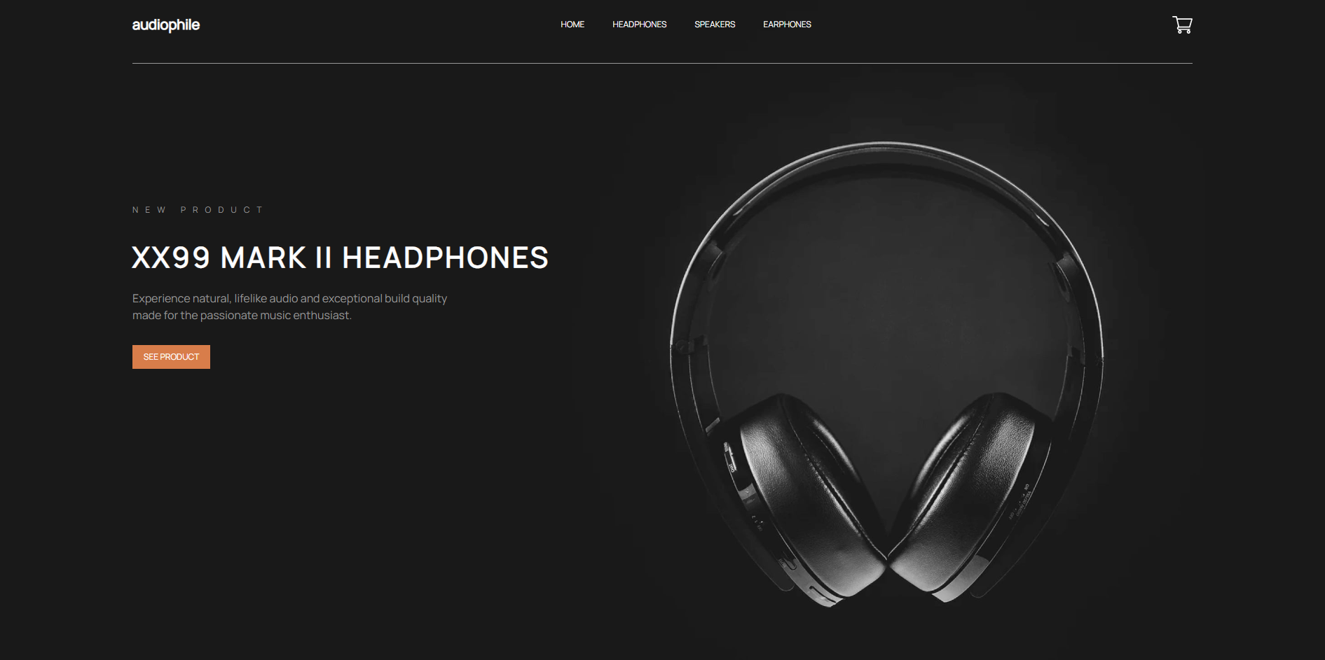 AUDIOPHILE E-COMMERCE PLATFORM project img